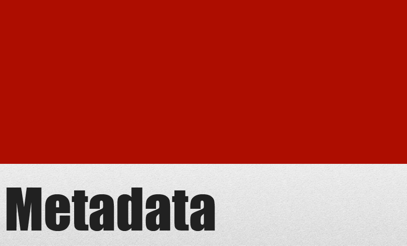 Image displays the word "Metadata"